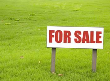 Plot/Land Sale in Sector 14 Faridabad