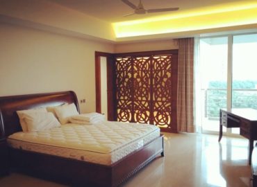 Furnished Apartment in DLF The Magnolias