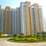 3 BHK Apartment/Flat in BPTP Park Grandeura Sector 82 Faridabad