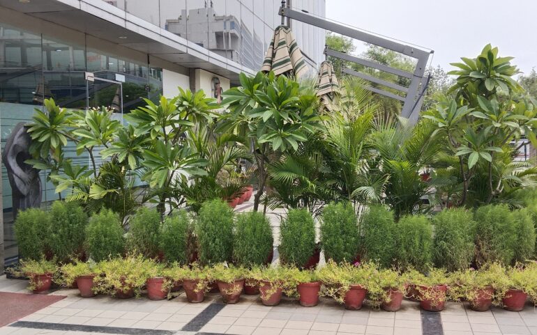 gallery