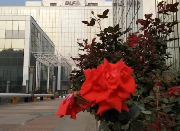 Pre Rented Property in Gurgaon - Prithvi Estates